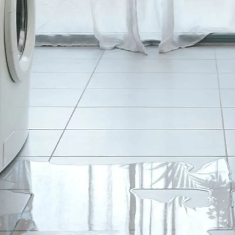 Appliance Leak Cleanup in Indian Hills, TX