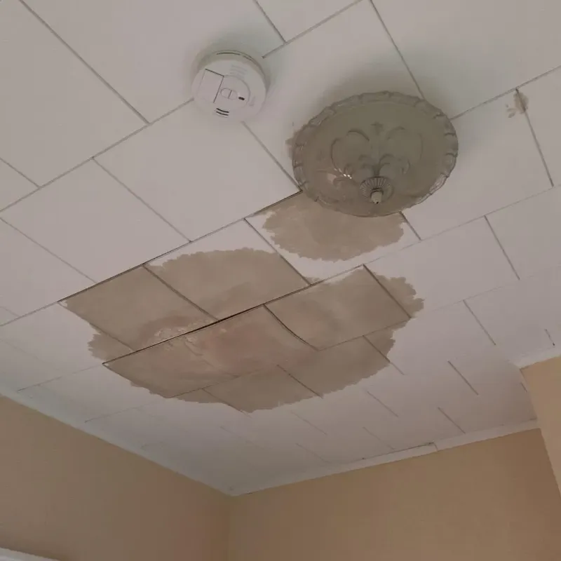 Ceiling Water Damage Repair in Indian Hills, TX
